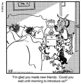 marmaduke